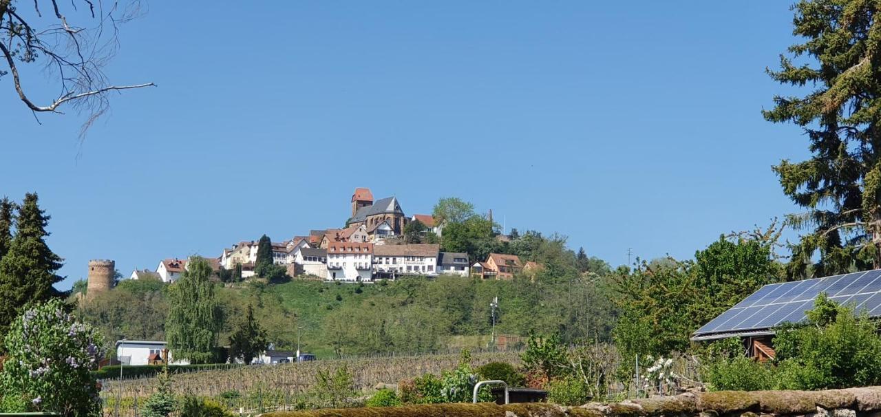 Landgasthaus "Zum Engel" Neuleiningen Екстериор снимка