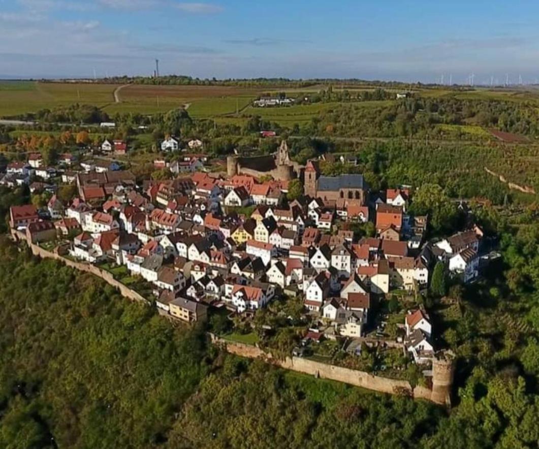 Landgasthaus "Zum Engel" Neuleiningen Екстериор снимка